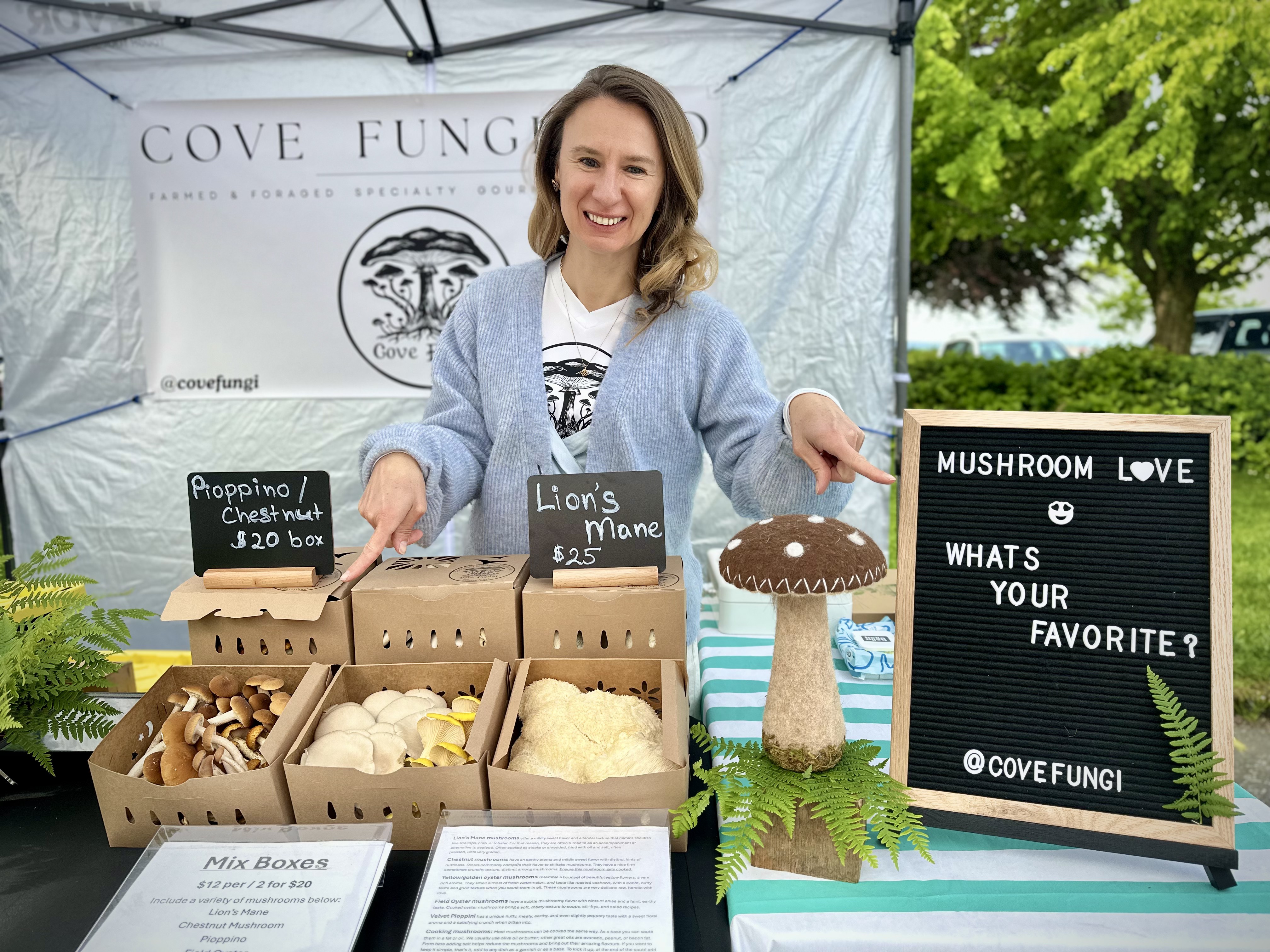 Cove Fungi at the farmers market — boxes of pioppino, chestnut, and lion's mane on the stand